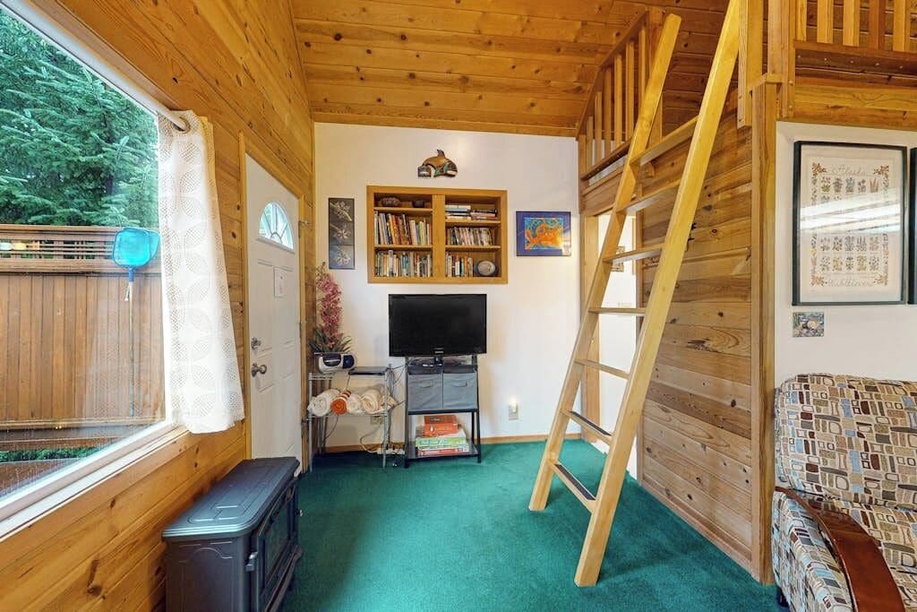 A room with a wooden interior, a bookshelf, a television, a ladder, and a patterned sofa.