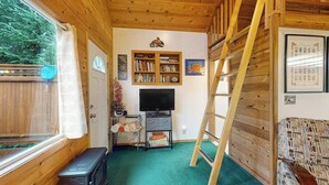 A room with a wooden interior, a bookshelf, a television, a ladder, and a patterned sofa. - Quiet A-frame Tucked Off the Road in Girdwood (Girdwood)