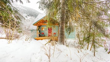 Alpehytte (2 Bedrooms) | Innvendig
