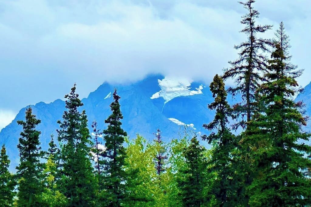 A mountainous landscape with dense forest in the foreground and snow-capped peaks in the background.