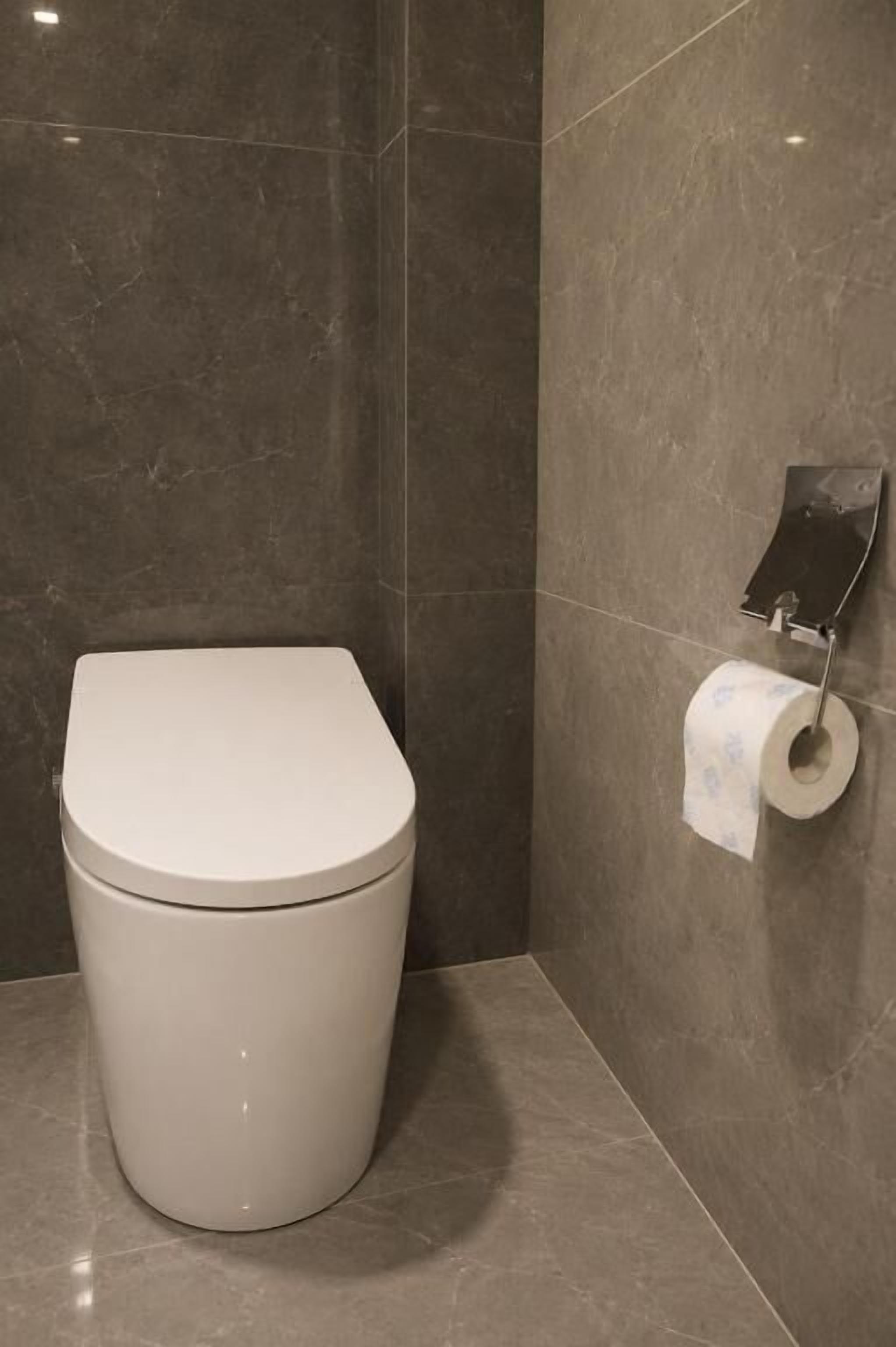 A toilet with a white lid, a wall-mounted toilet paper holder, and a marble-tiled wall.
