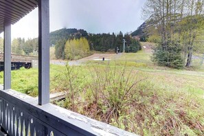 Vista desde un porche cubierto, con un campo de césped, árboles y una montaña distante.