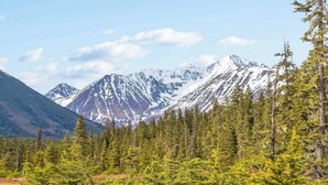 A mountainous landscape with dense coniferous forest.