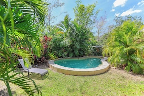 A swimming pool surrounded by lush greenery, with a lounge chair and a small deck area. - Palms Bungalow Nightcliff with Pool | 2BD, 2BTH (Nightcliff)