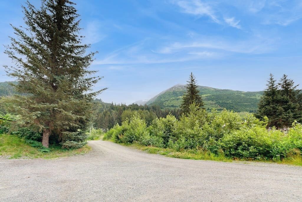 Een grindweg omzoomd door weelderige begroeiing en een berg in de verte.