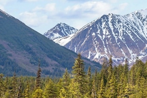 Interior - Quiet Girdwood Studio w/ Easy Access to the Village (Girdwood)
