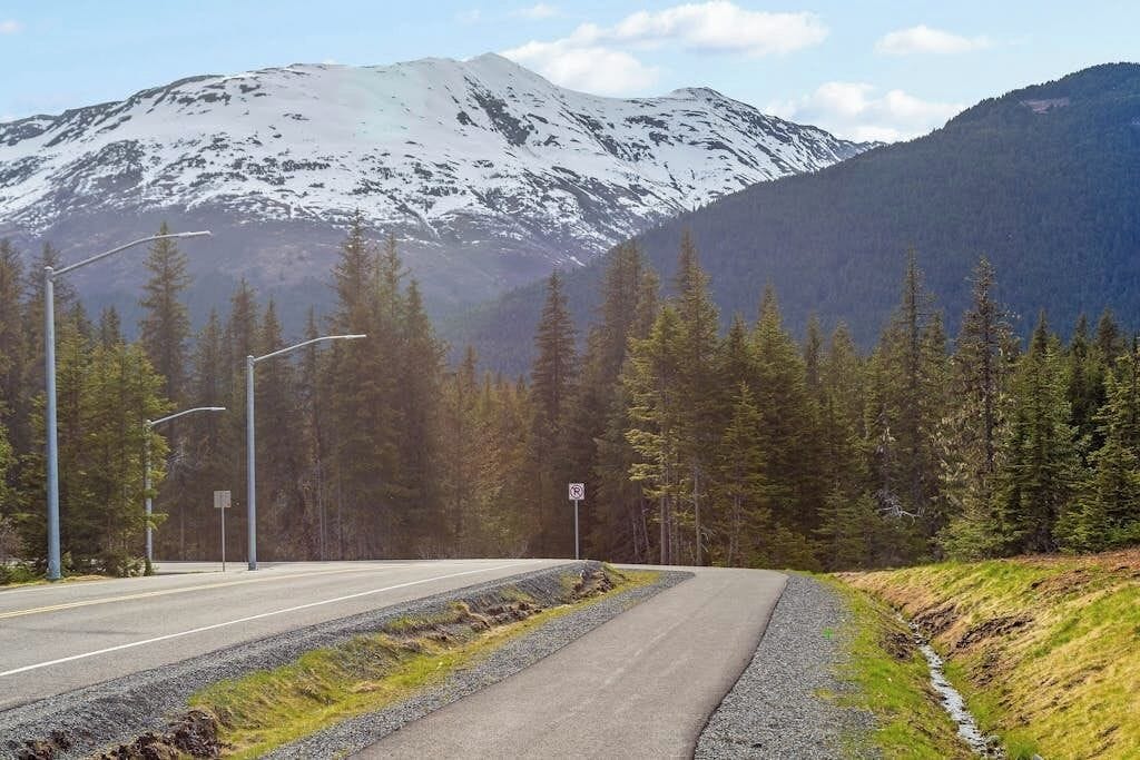 A road curving through a forest with a mountain in the background.