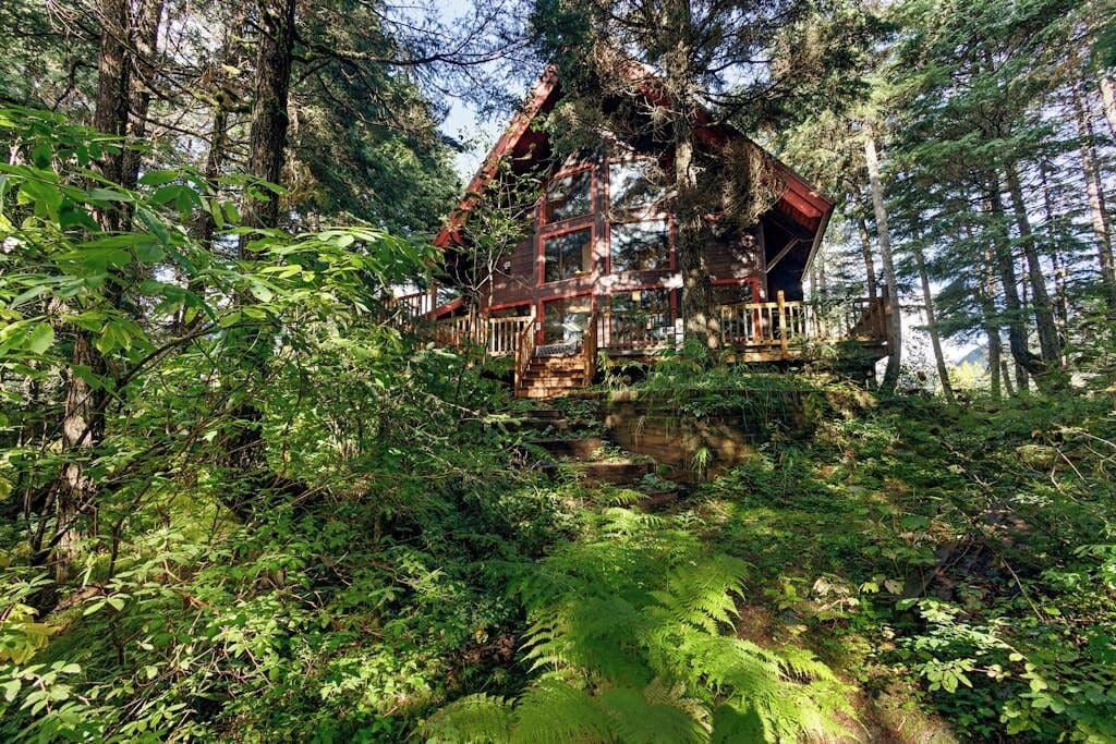 A cabin nestled in a forest, surrounded by dense foliage.