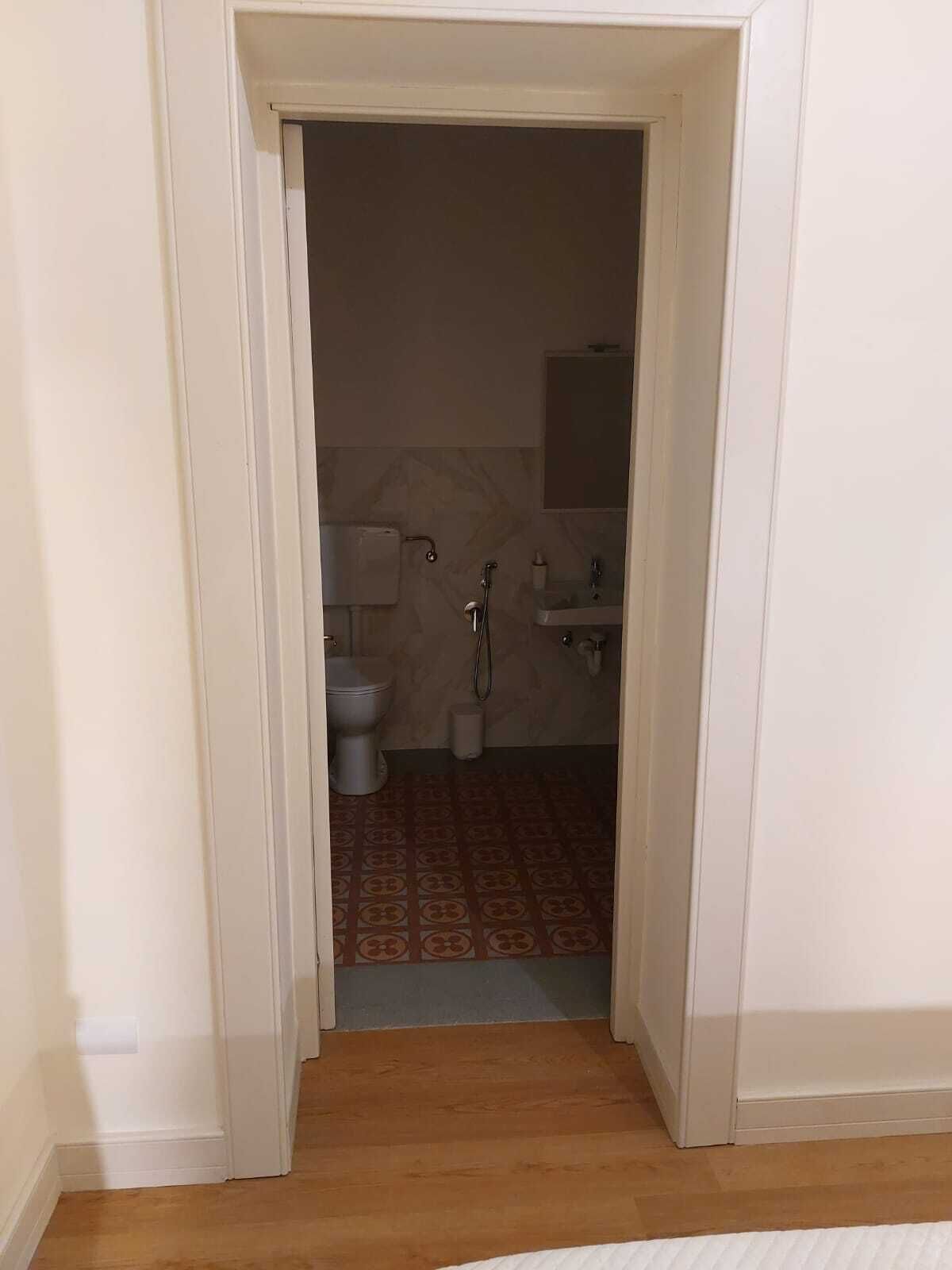 En smal hall som leder till ett badrum med toalett, handfat och dusch.