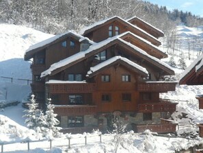 Exterior - Charming apartment - 4 guests, forest view (Méribel)