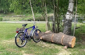 A bicycle parked next to a large log in a grassy area with trees and a body of water in the background.