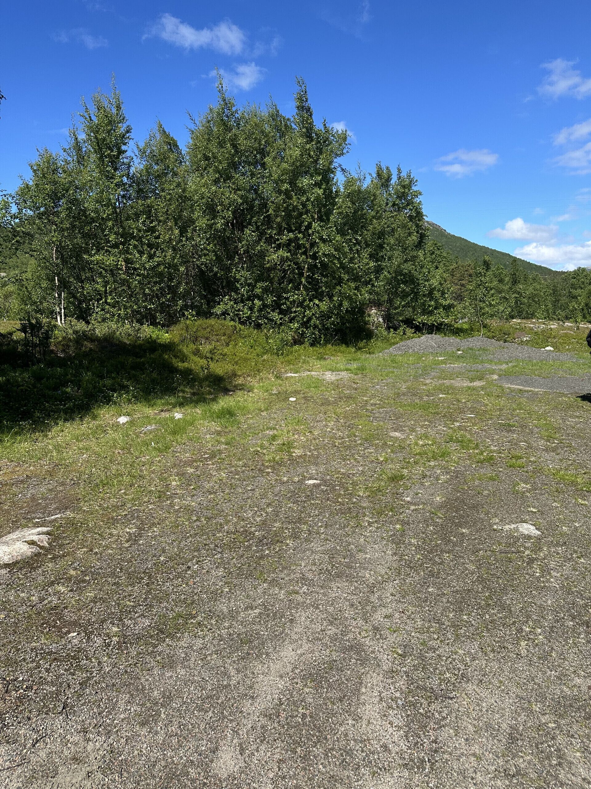 A gravel path leading through a grassy area with dense trees in the background.