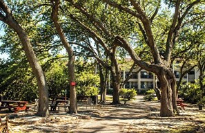 Ein Park mit Picknicktischen, Bäumen und einem Gebäude im Hintergrund.