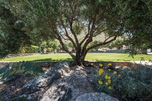 A tree with a stone bench and yellow flowers in a landscaped area. - Villa Freedom | A Private Luxury Estate in the Heart of Crete (Chania)