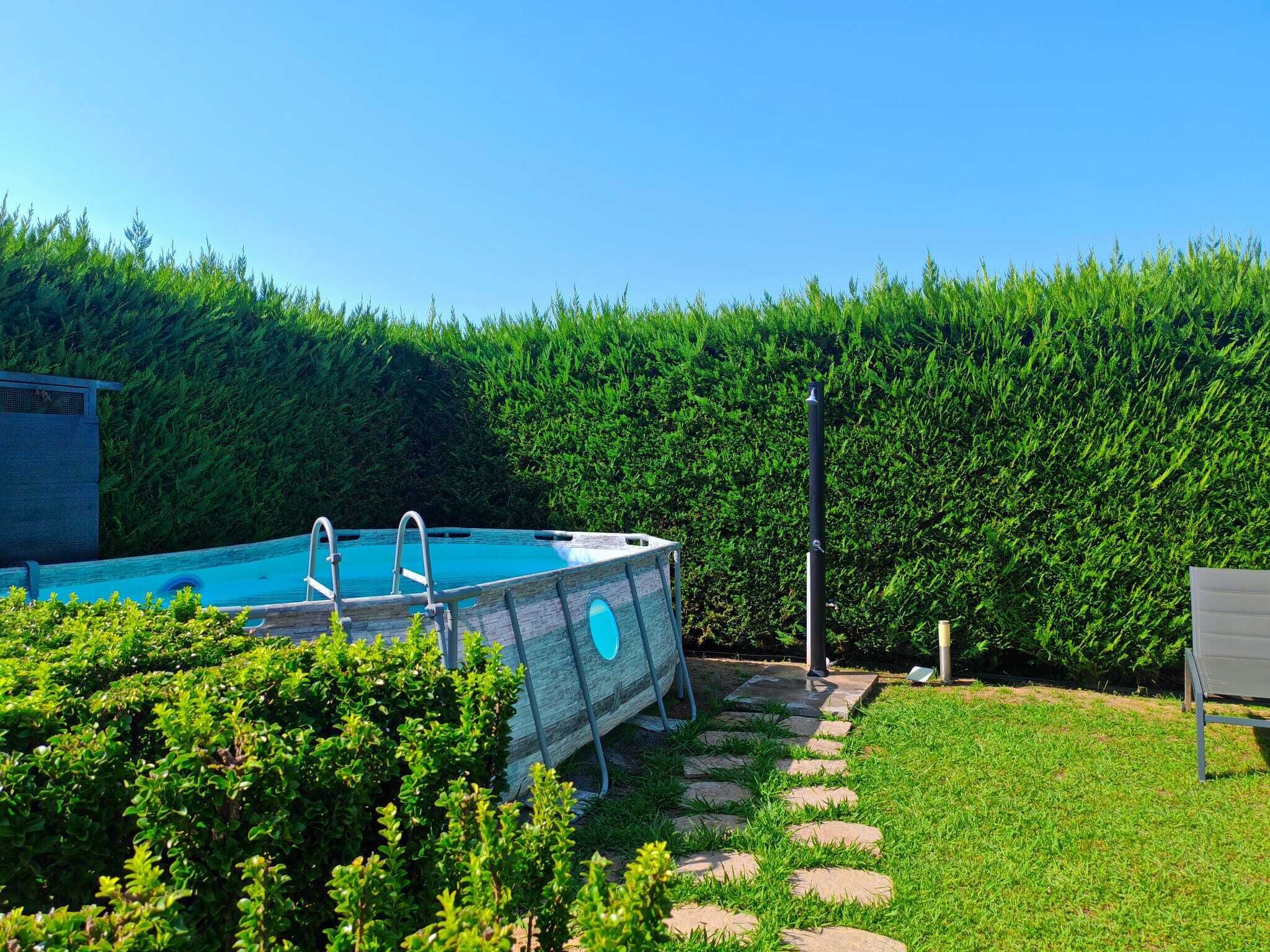 A swimming pool with a wooden deck, surrounded by a hedge and a stone pathway.