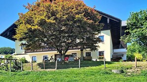 A two-story building with a large tree in front, a fenced area, and a clear sky.