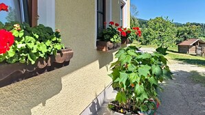 Un bâtiment à l’extérieur beige, une fenêtre ornée d’une jardinière et un ciel dégagé.