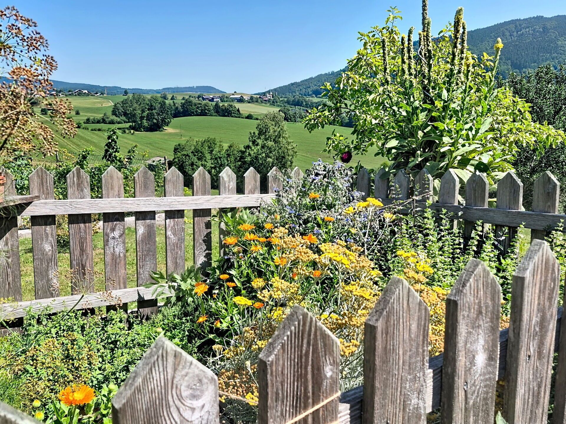 A wooden fence with a view of a green field and a mountain in the distance.