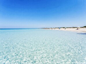 Ein Strand mit klarem, flachen Wasser und einem sandigen Ufer.