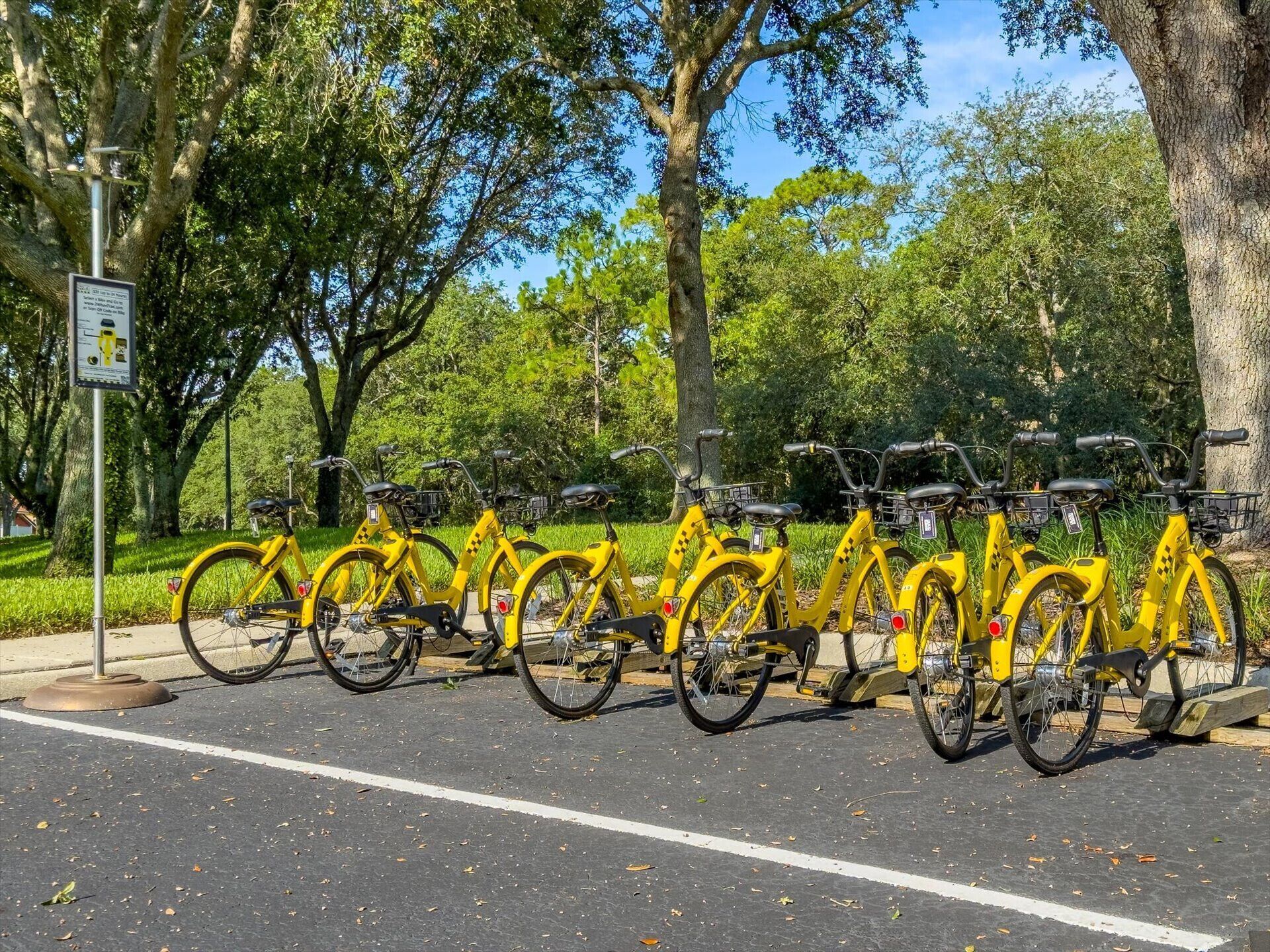 Une rangée de vélos jaunes est garée sur une zone pavée, avec des arbres en arrière-plan.