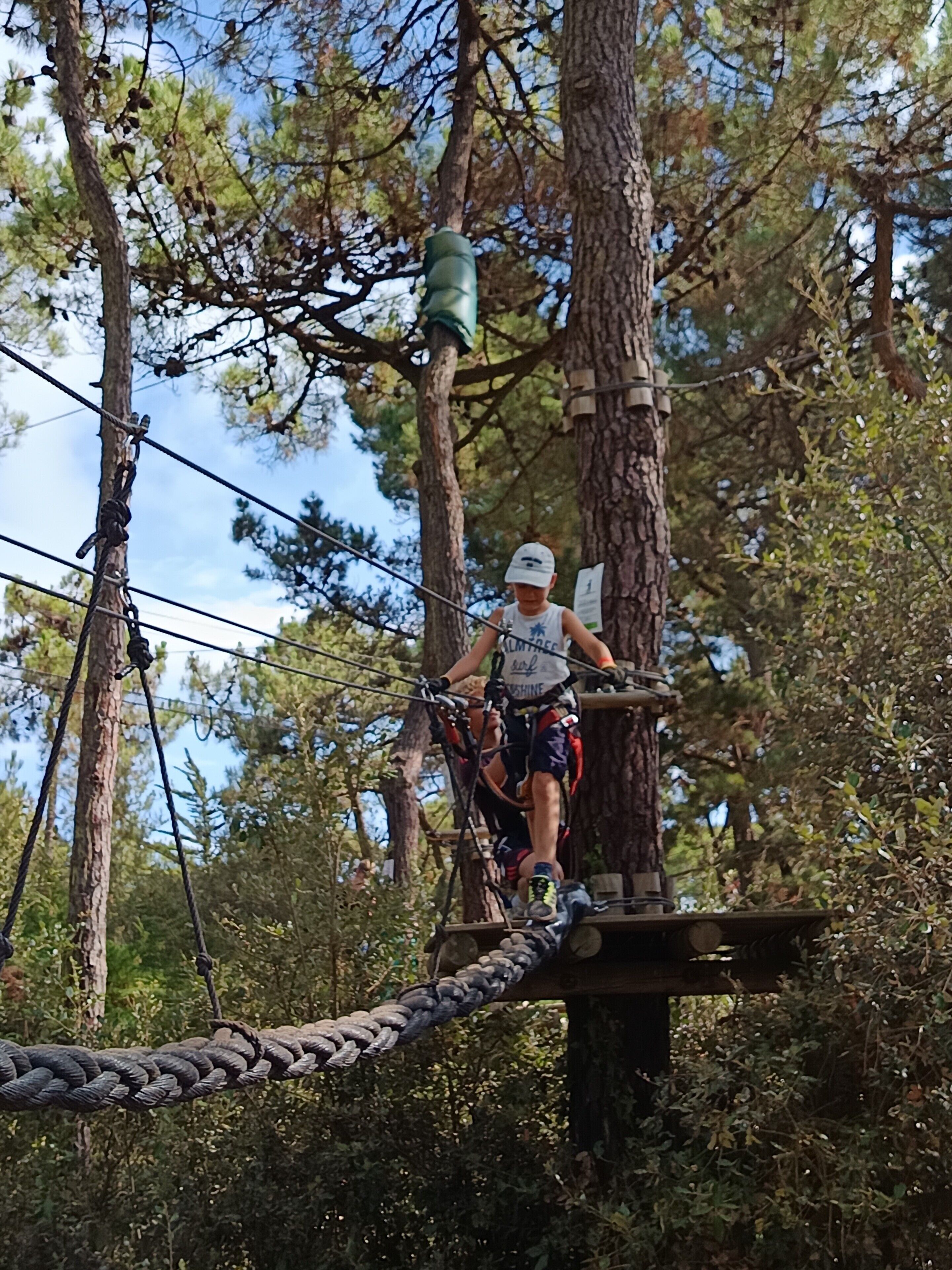 A person on a rope bridge in a forested area with trees and a clear sky.