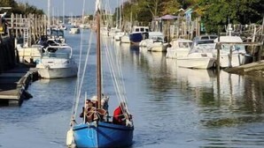 A marina with boats docked along the waterway. - "Côté sauvage" 4-star vacation rental for 16 people (La Tremblade)