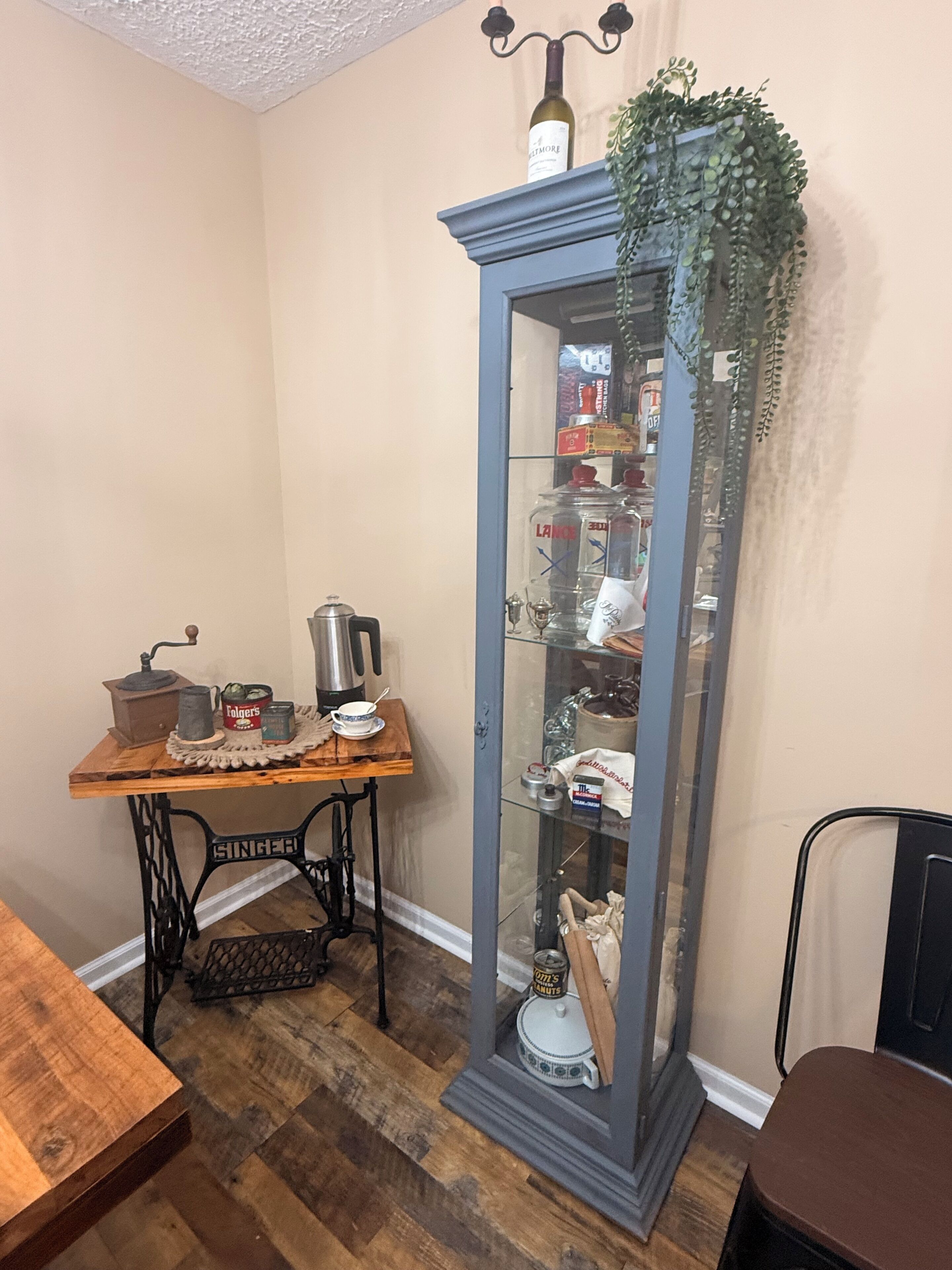 A room with a vintage Singer sewing machine, a wooden table, a tall cabinet with glass doors, and a hanging plant.