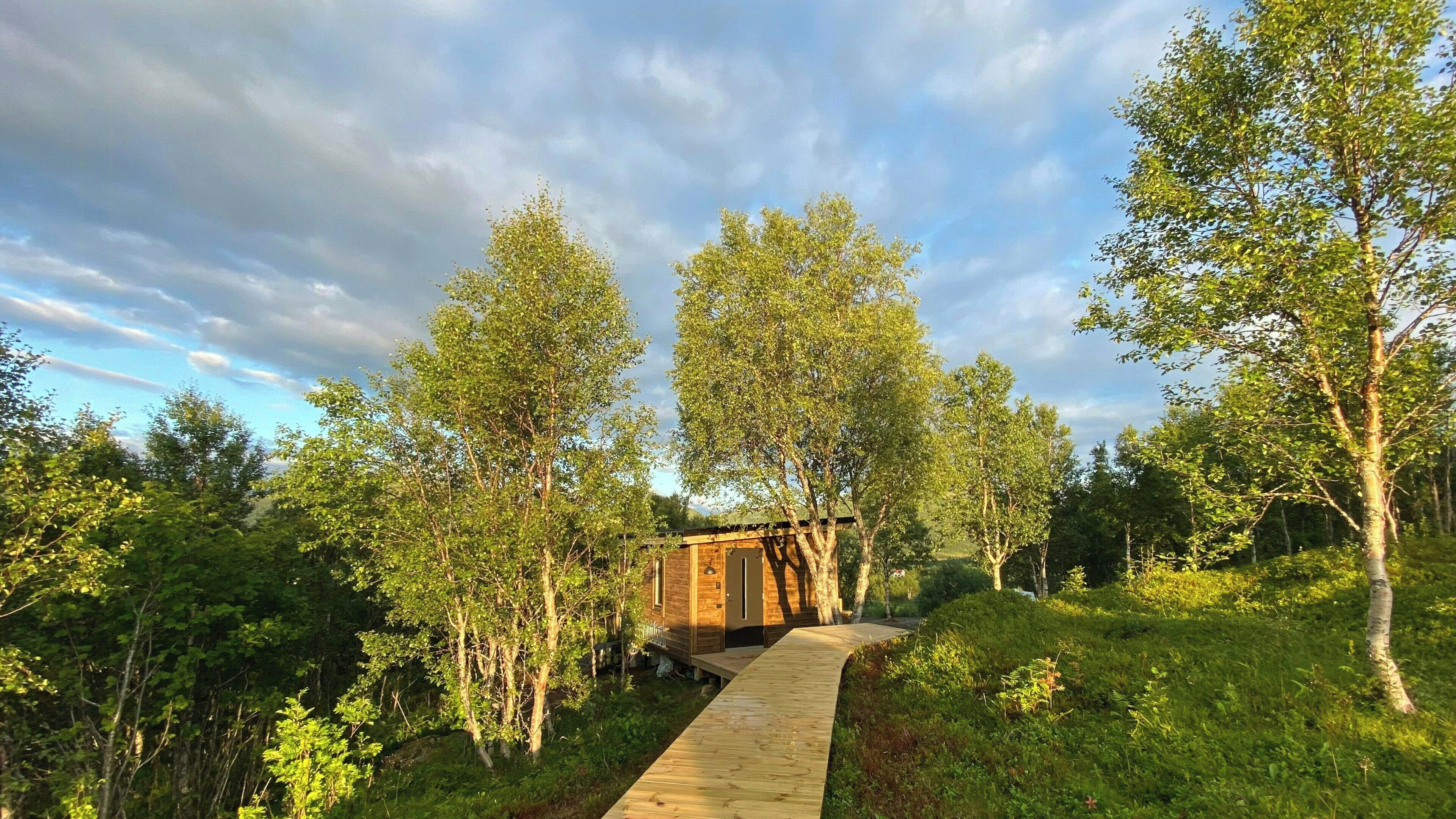Un sentier en bois mène à un chalet rustique, entouré d’une végétation luxuriante et de grands arbres.