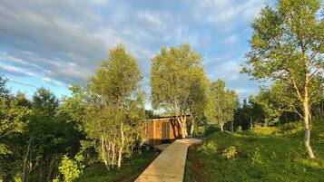 Un sentier en bois mène à un chalet rustique, entouré d’une végétation luxuriante et de grands arbres.