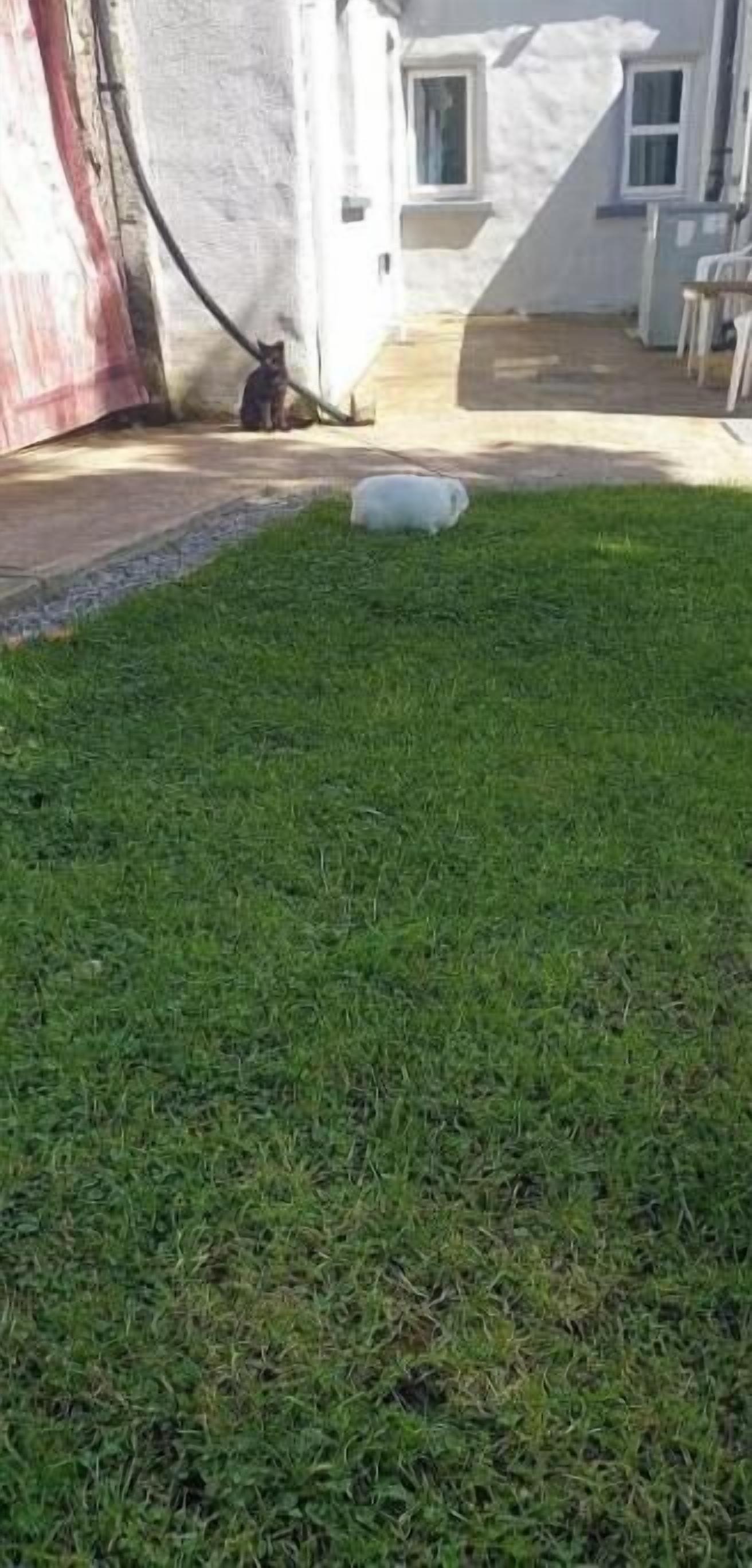 Property grounds
