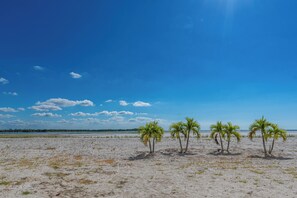 Ein Strand mit vier Palmen und blauem Himmel.