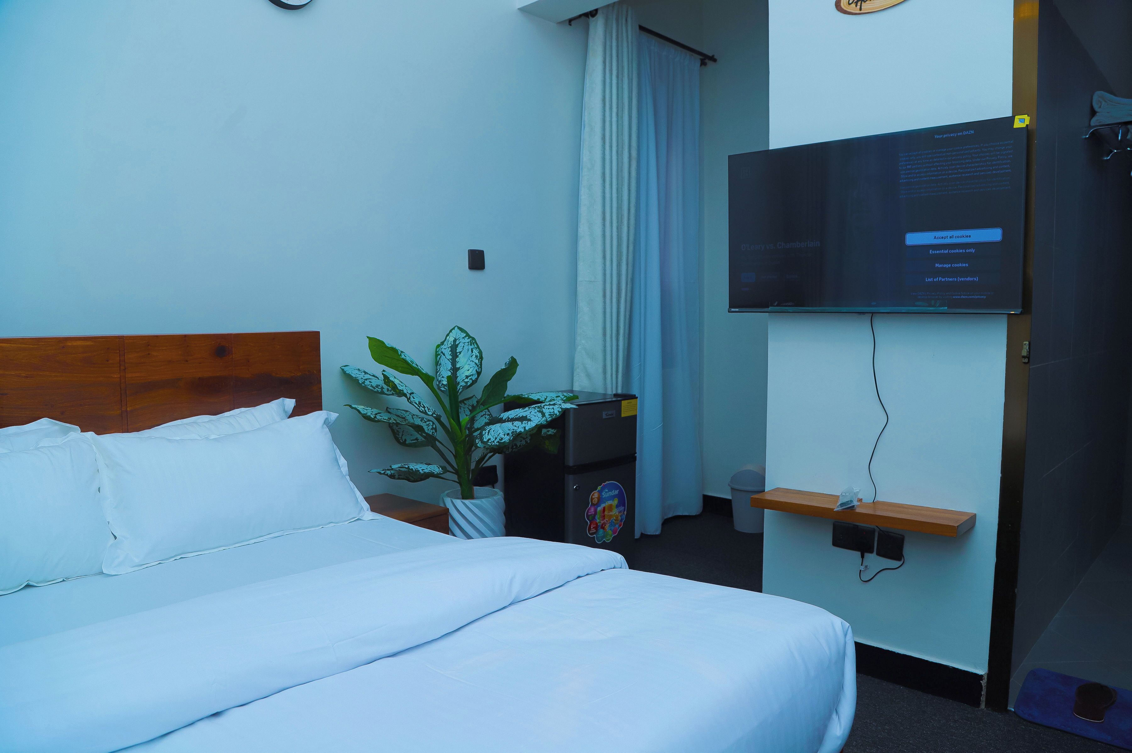 Una habitación de hotel con cama, una planta, televisor y una mesita.