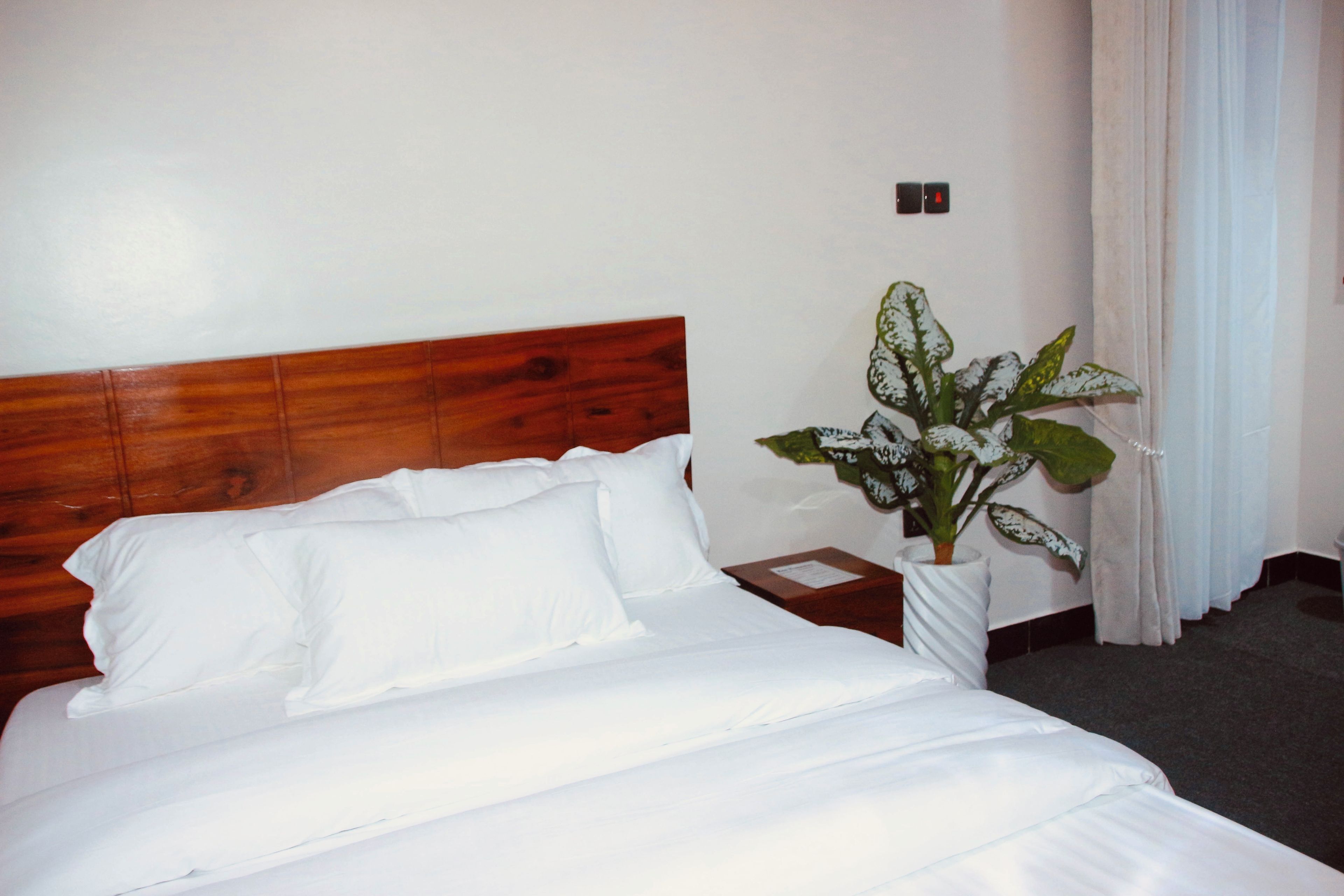 A neatly made bed with white linens, a wooden headboard, a bedside table with a lamp, and a potted plant.
