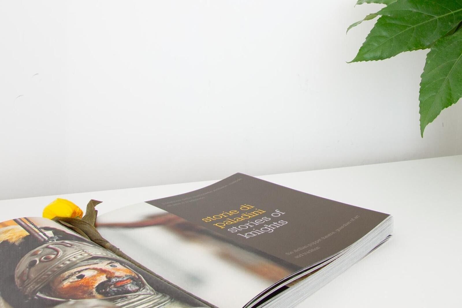 A book titled 'Stories of the Paladin' on a white surface with a green leaf and a yellow flower nearby.