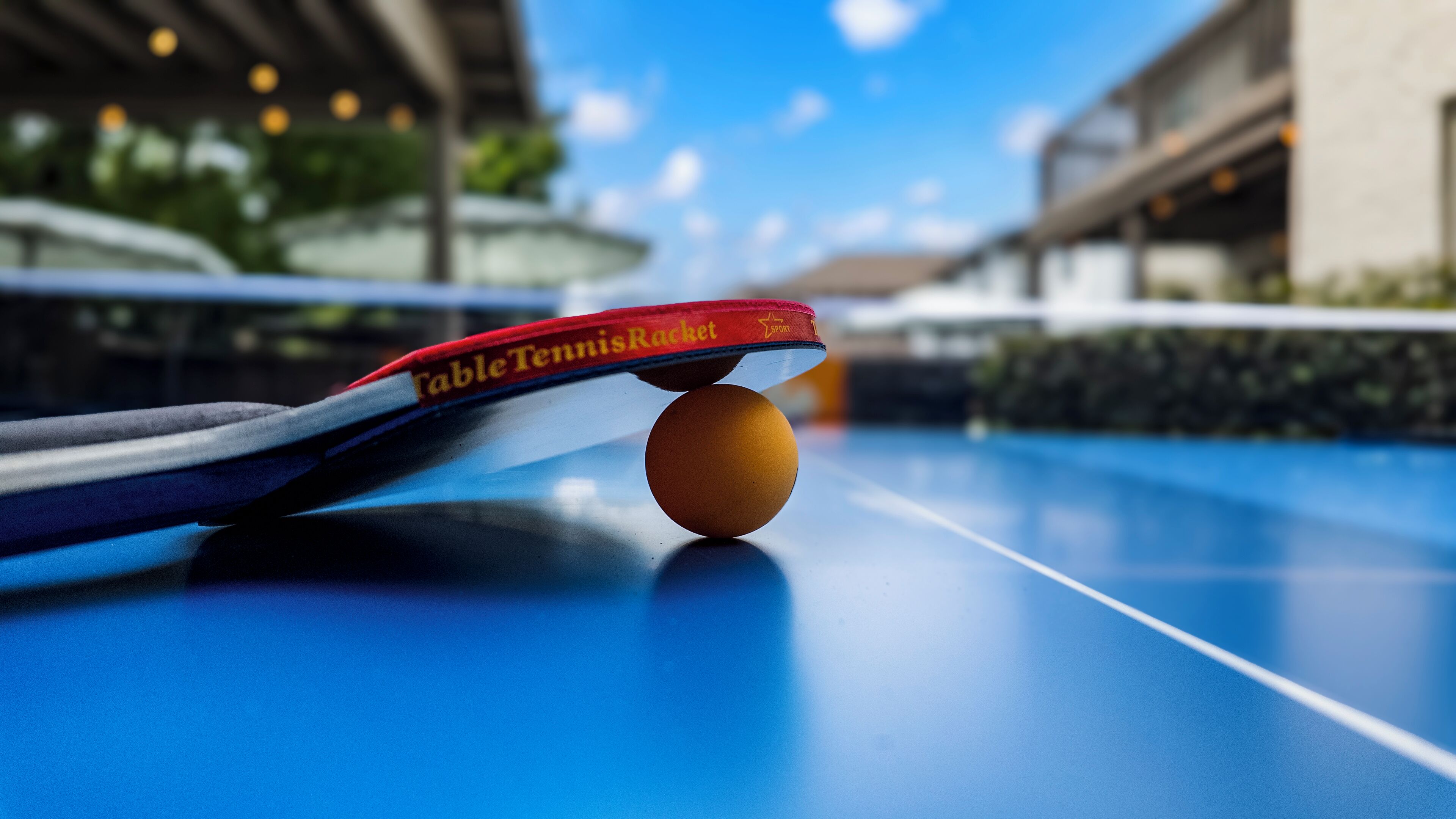A table tennis table with a ball and a paddle.