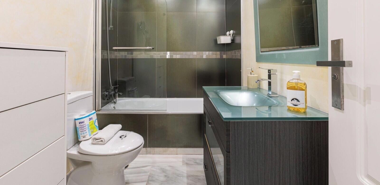 A bathroom with a toilet, a glass shower enclosure, a bathtub, and a vanity with a mirror.