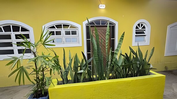 A yellow building with white-framed windows and a door. There is a planter box with plants in front of the building.