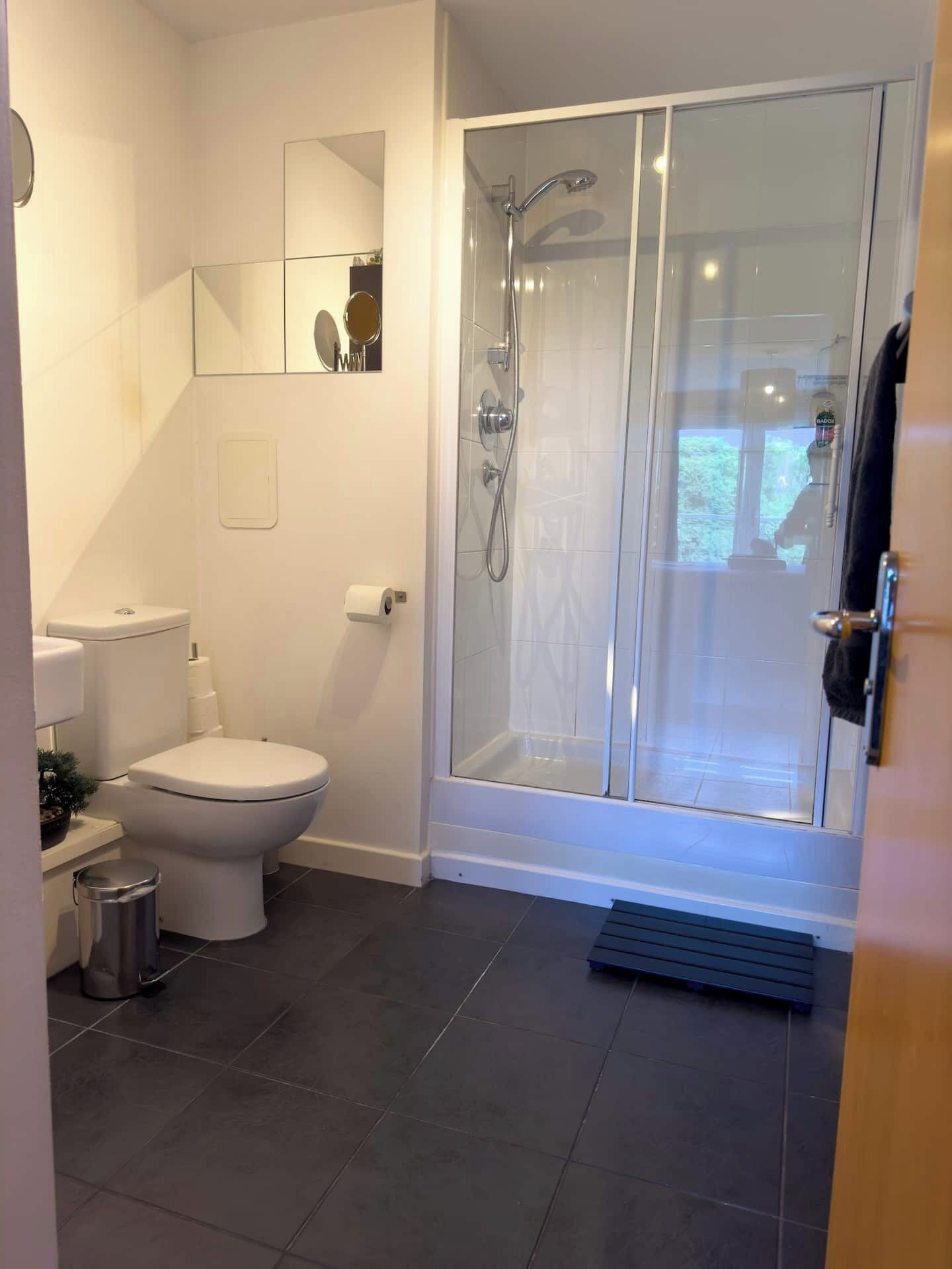 A modern bathroom with a toilet, a shower enclosure, and a mirror.