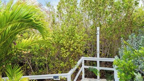 A white wooden staircase leading up to a covered area surrounded by lush greenery and various plants. - Island Studio with Pool Access, Porch & Workspace (Venetian Road Settlement)