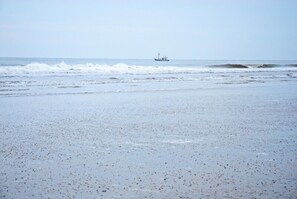 Una playa con un barco a lo lejos.