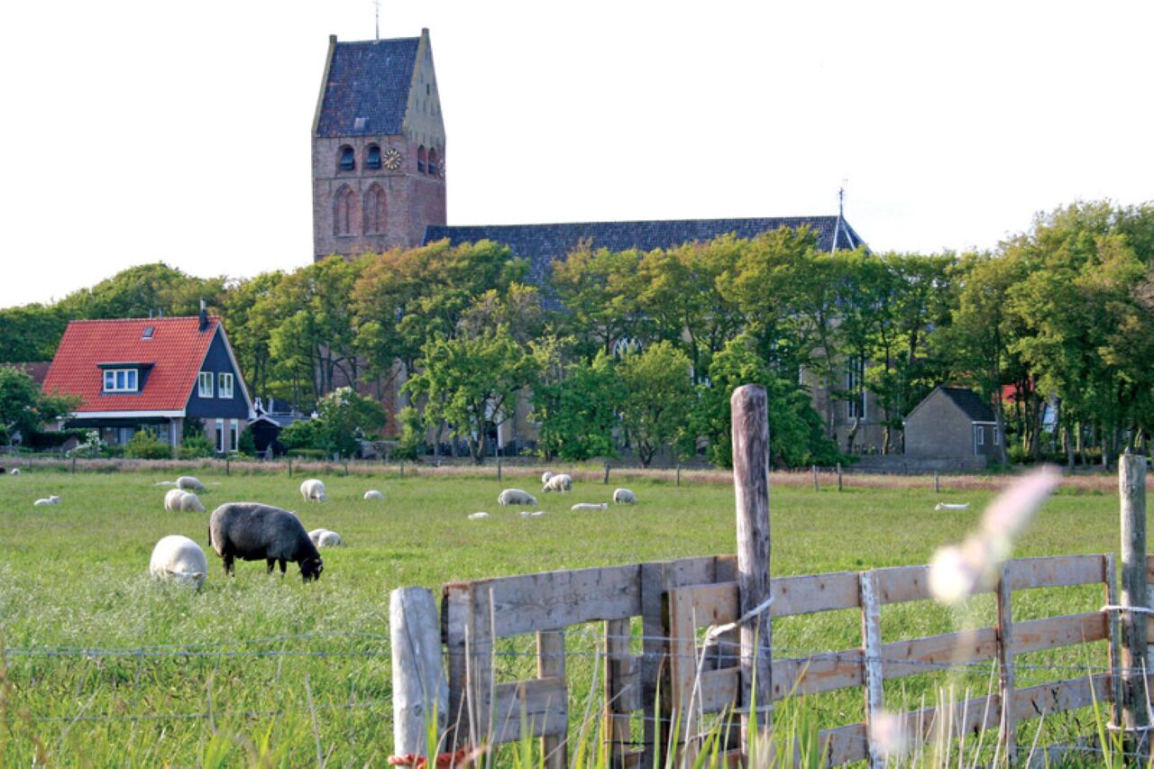 Paisagem rural com um campo de ovelhas, uma cerca de madeira e uma igreja com uma torre alta.
