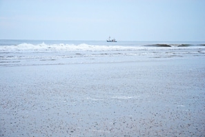 Una playa con un barco a lo lejos.