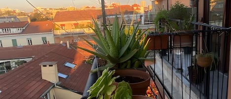 A balcony with potted plants, a metal railing, and a view of the cityscape.