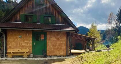Zirbitzhütte at the edge of the forest—sauna, fireplace, fire pit, view