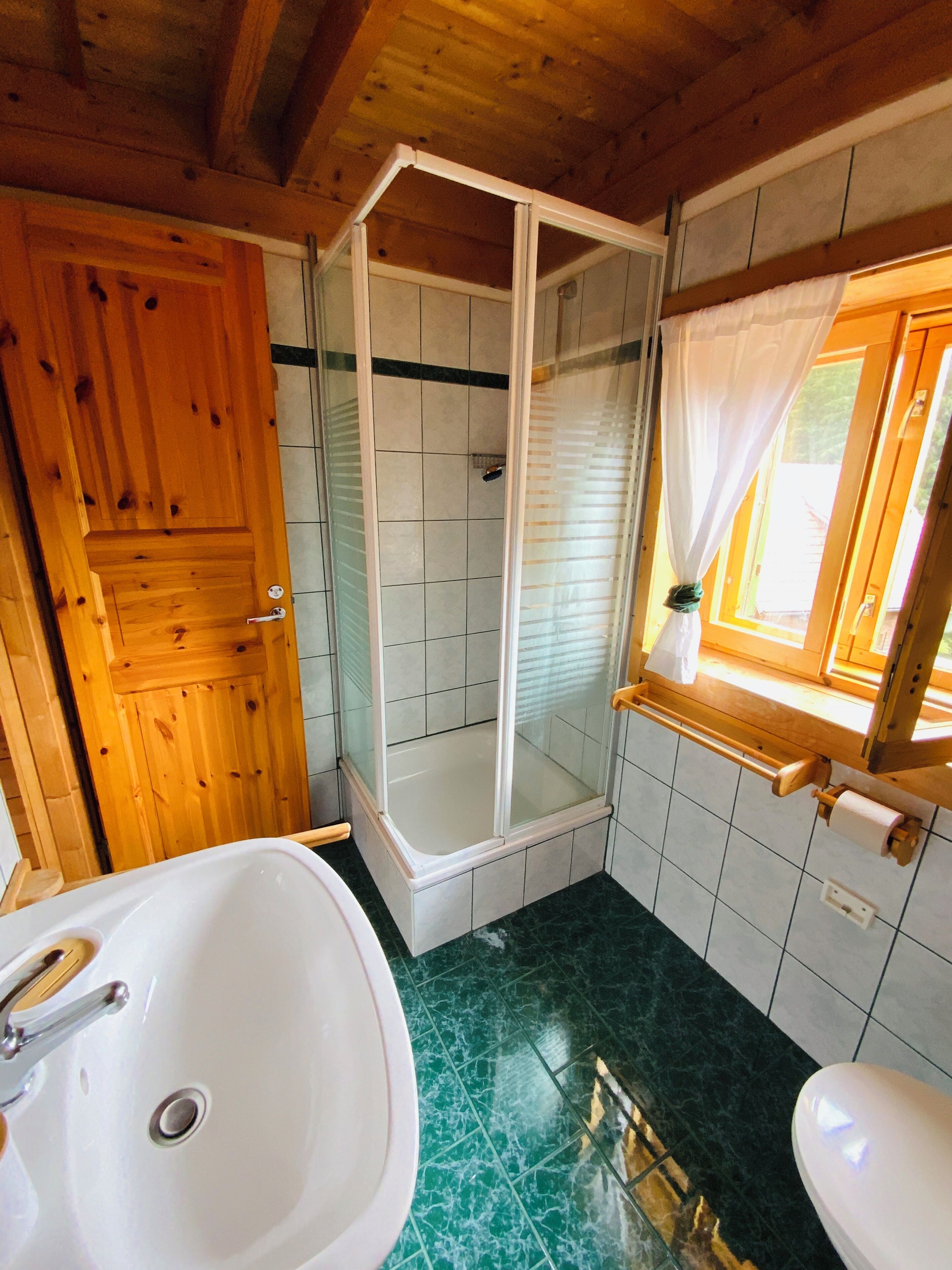 Shower, hair dryer, soap