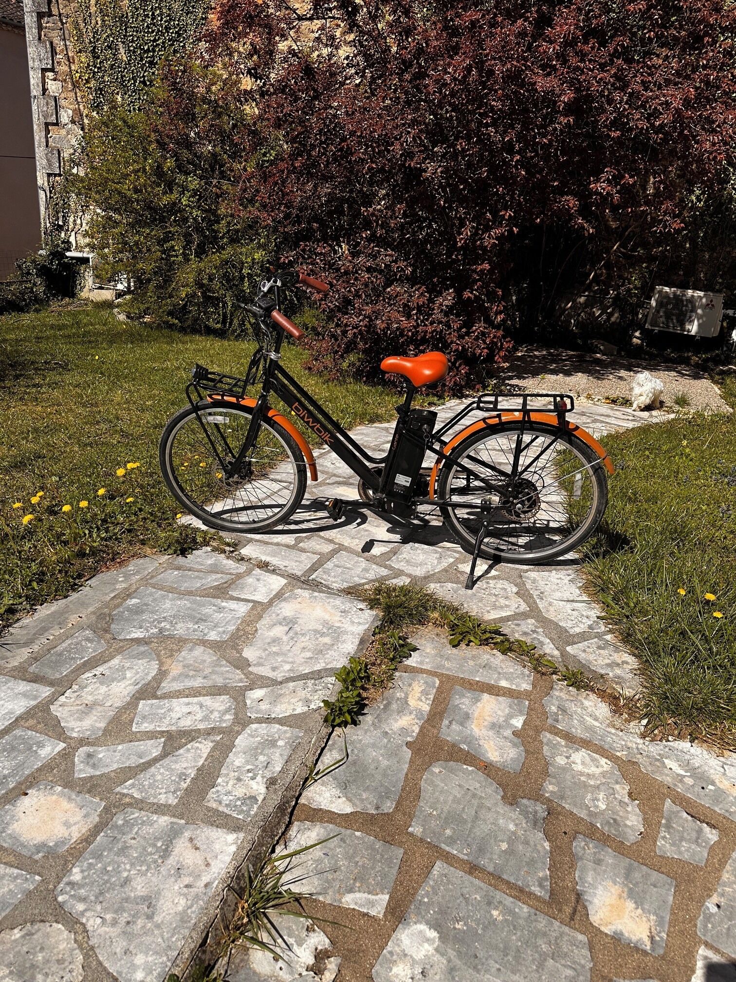 Uma bicicleta ergométrica com cesta, estacionada em um caminho de pedra.
