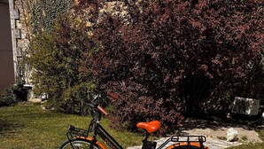 A stationary bicycle with a basket on the back, parked on a stone pathway.