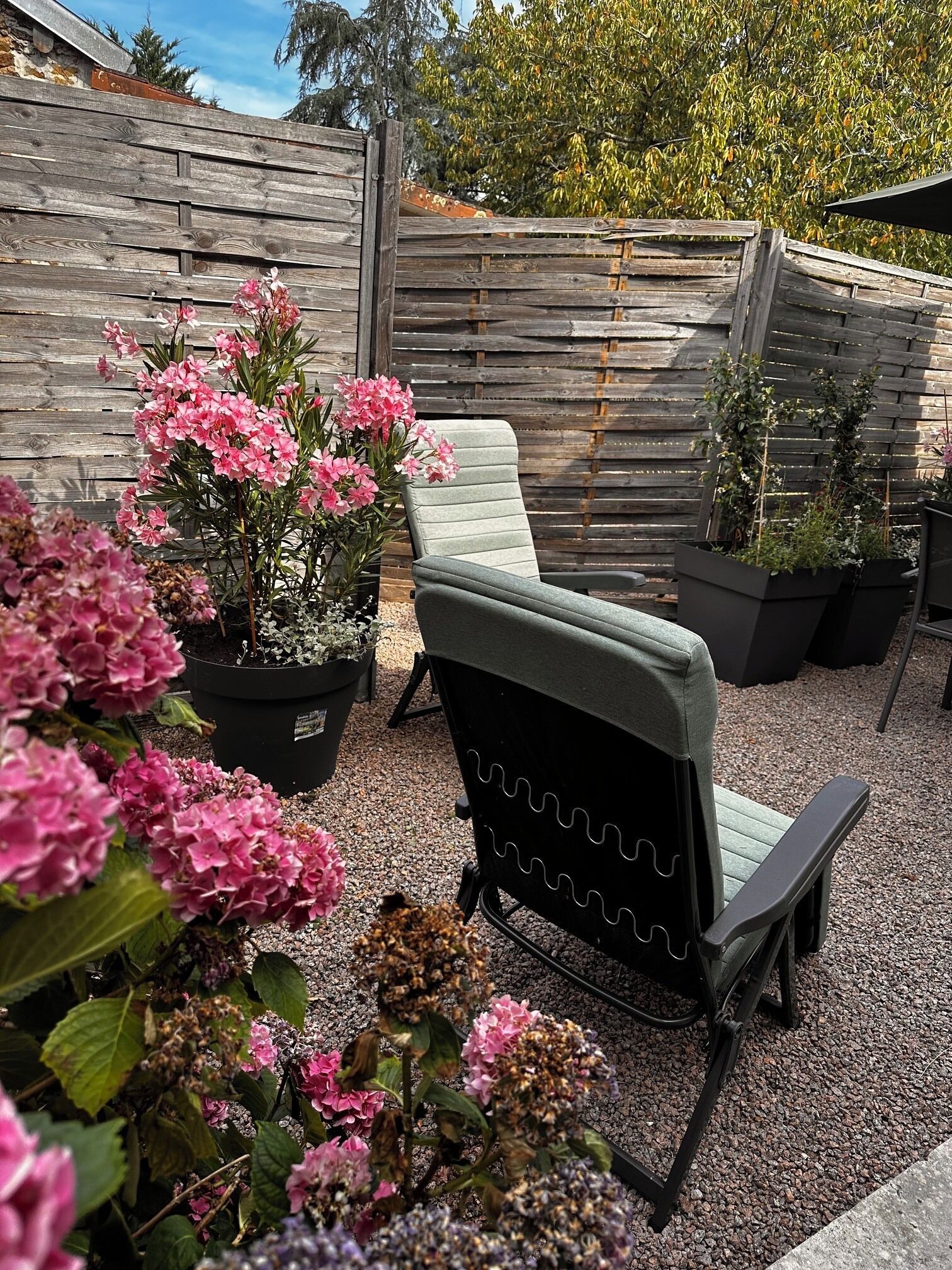 Un espace patio aménagé avec un fauteuil de relaxation, des plantes en pot et une clôture en bois.