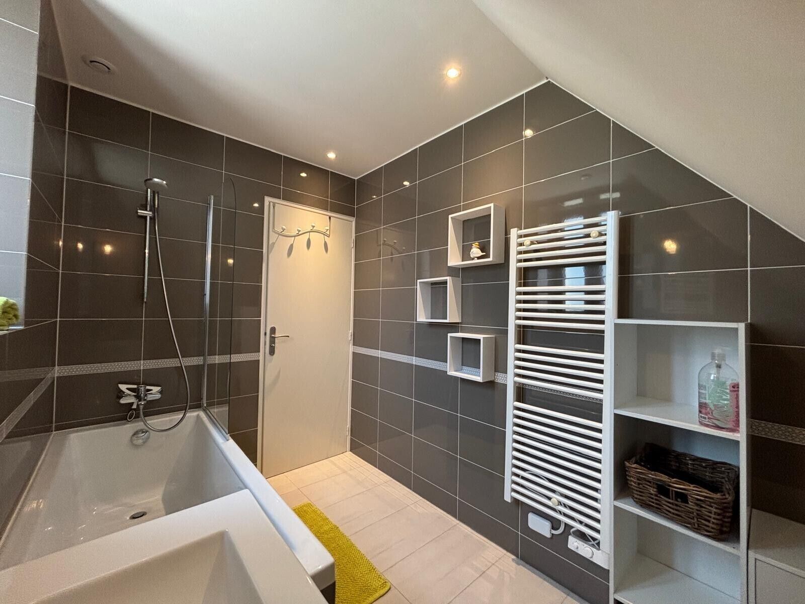 Shower, hair dryer