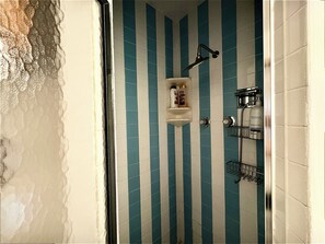 A bathroom with blue and white striped tiles, a showerhead, a soap dispenser, and a towel rack. - The Woodlands Charity  -Large Private Room & bath in Tallmadge (Tallmadge)